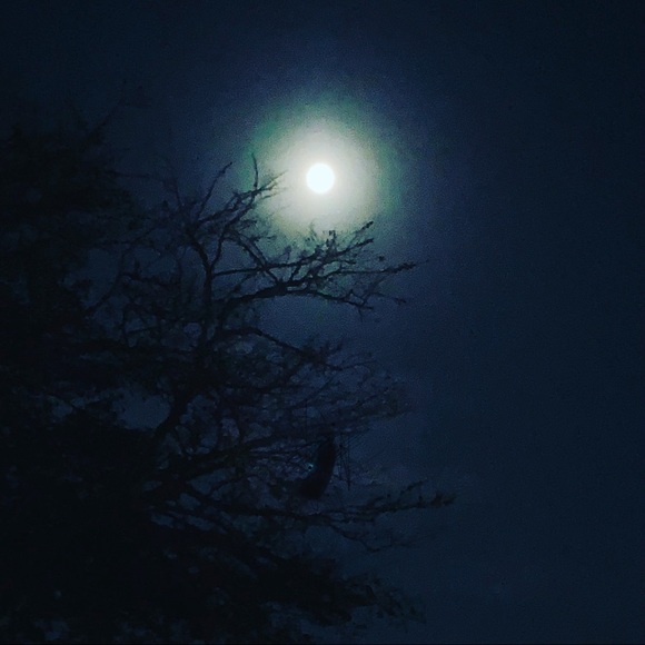 BUNDLES make sense - Picture 2 of 3